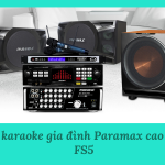 Dàn karaoke gia đình Paramax cao cấp FS5
