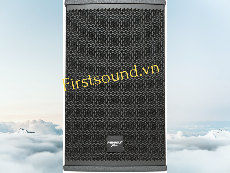 Loa Paramax Pro-S10 đáp ứng đầy đủ các tiêu chuẩn âm thanh khắc khe của khách hàng
