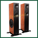 loa-nghe-nhac-platinum-d88.png