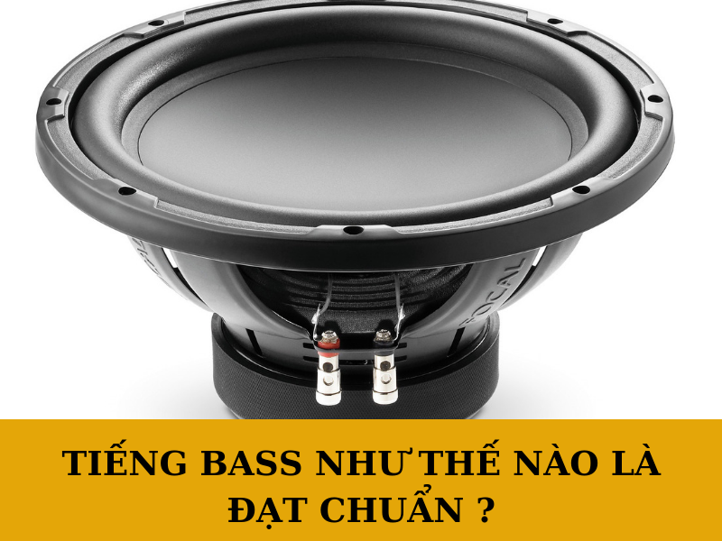 bass là gì