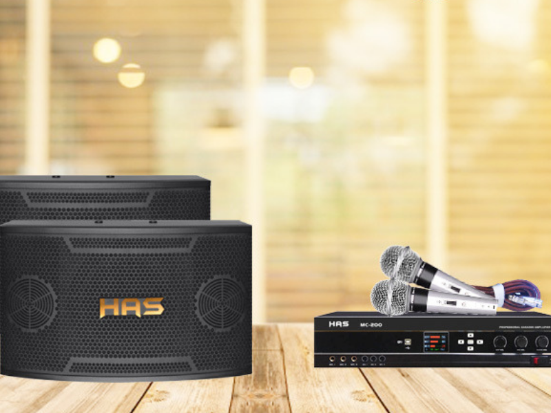 Loa hát karaoke hay nhất hiện nay bạn nên biết