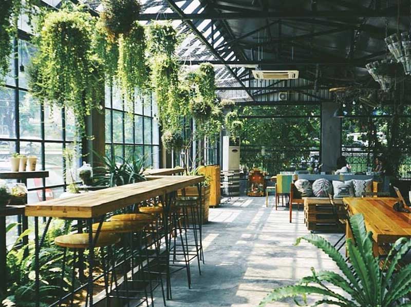 Mô Hình Quán Cafe Cây Si Cafe Gạch Thẻ 350Tr #47 Mô Hình Quán Cafe Cây Si Cafe Gạch Thẻ 350Tr