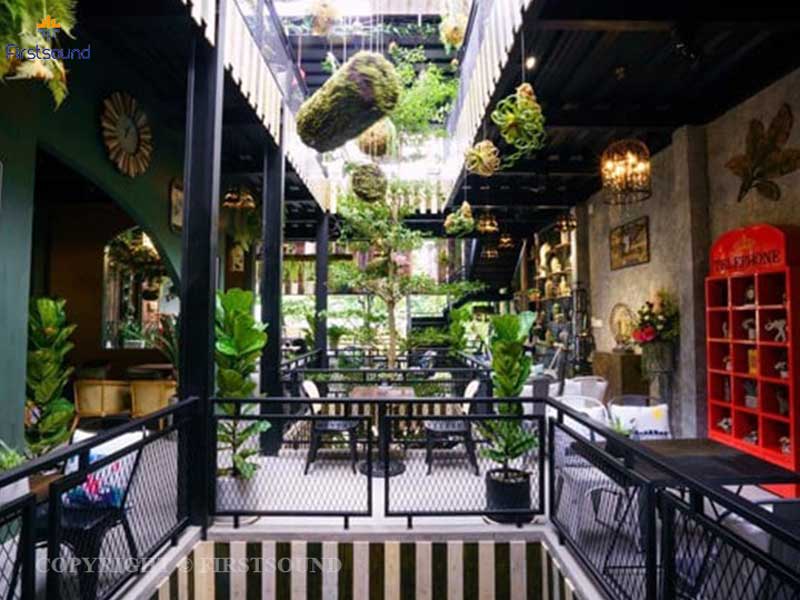 Loa cho quán cafe Jungle phú yên -1