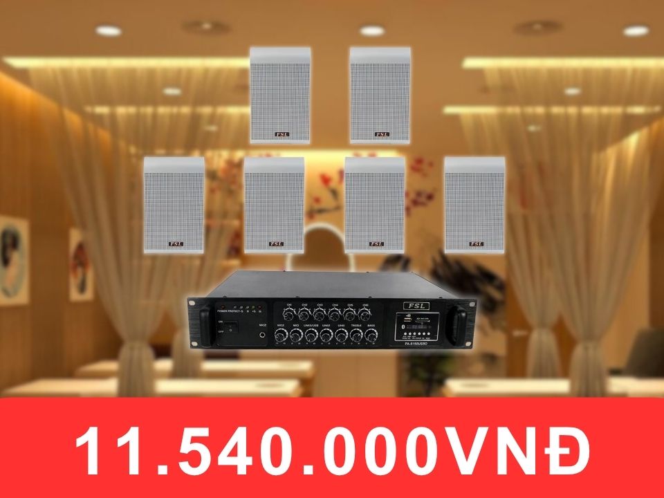 Loa treo tường FSL F204T cho spa diện tích 100-200m2