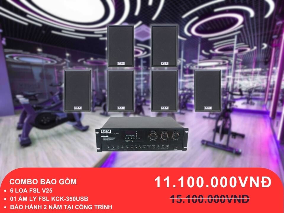 Loa treo tường FSL V25 cho phòng gym 100-200m2
