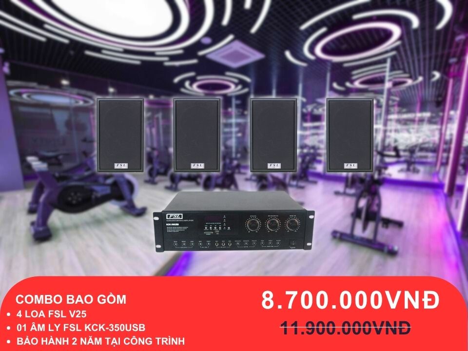 Loa treo tường FSL V25 cho phòng gym dưới 100m2