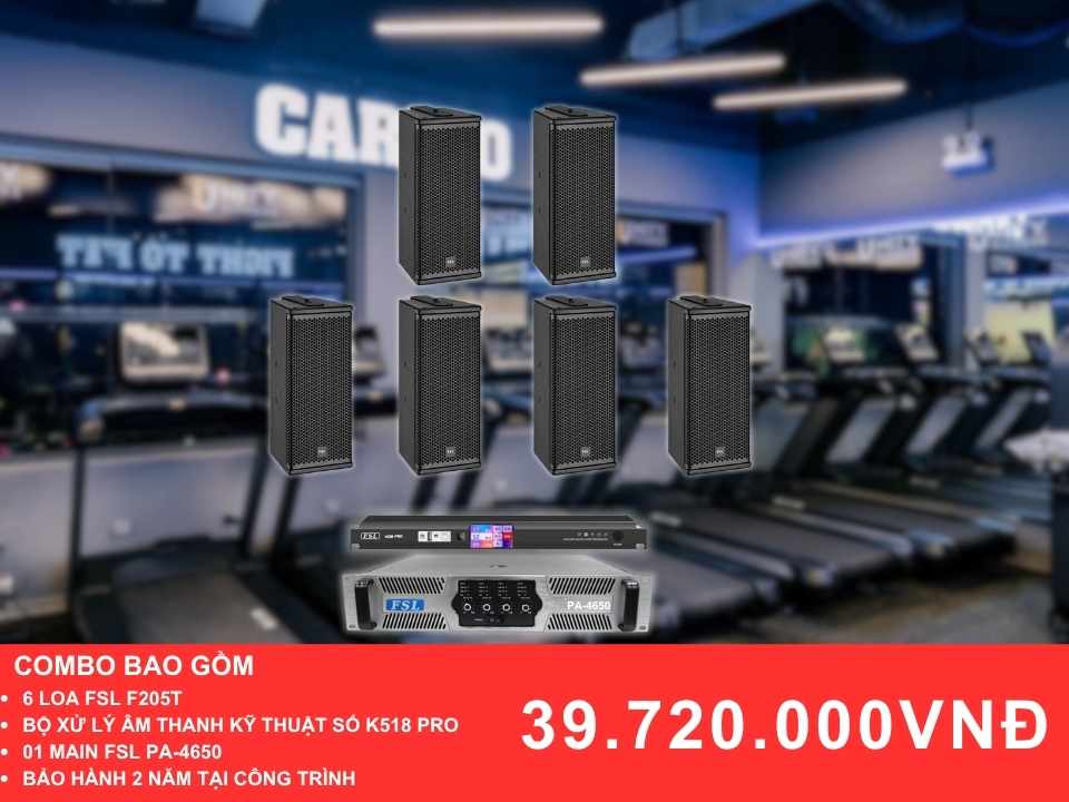 Gói loa cho phòng Gym FSL F205T cho phòng Gym diện tích 100-200m2