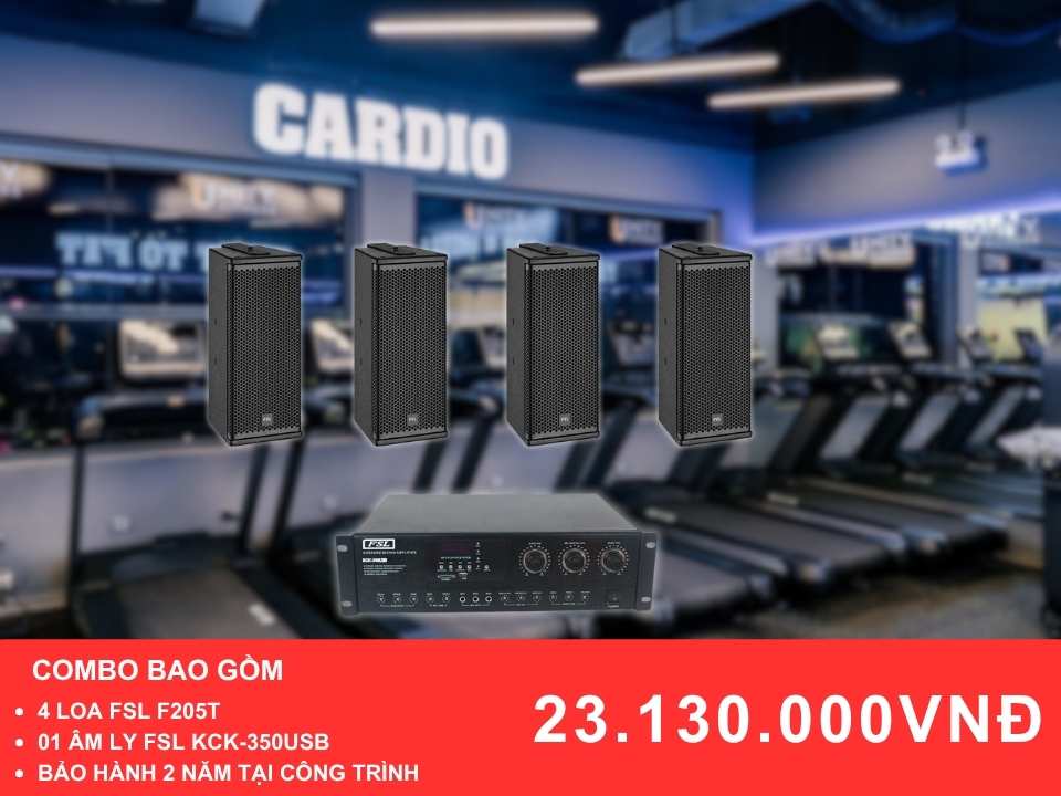 Gói loa cho phòng Gym FSL F205T cho phòng Gym diện tích dưới 100m2
