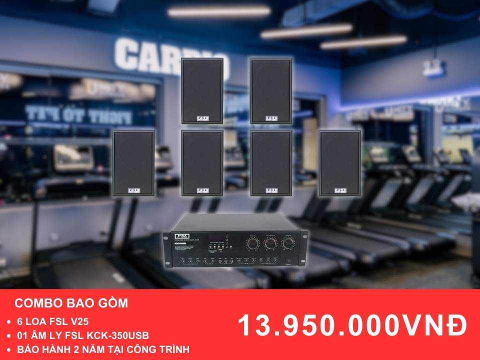 Gói loa cho phòng Gym FSL V25 cho phòng Gym diện tích 100-200m2